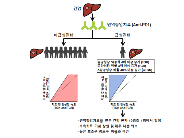 간암.png