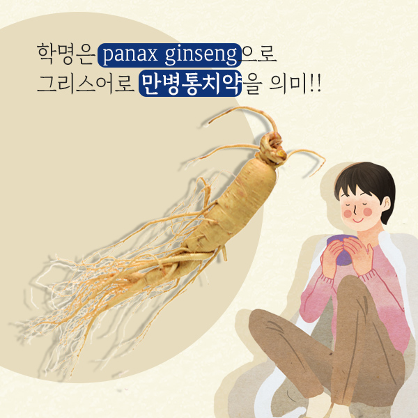 인삼1-3.jpg