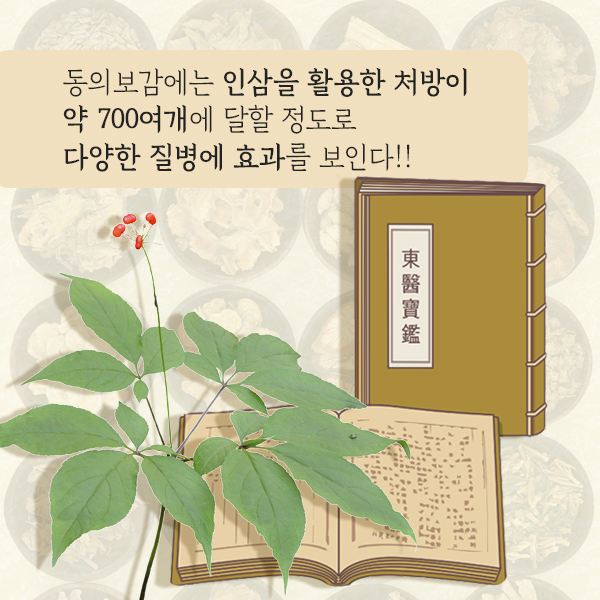 인삼1-5.jpg