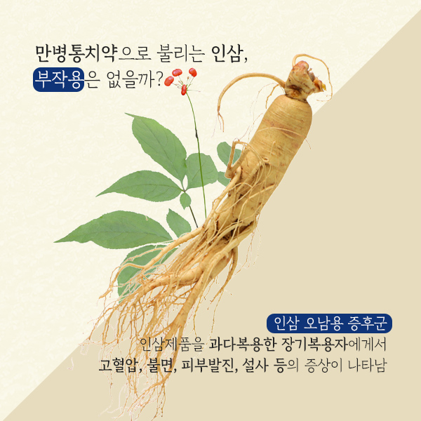 인삼1-9.jpg