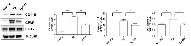 [이미지자료3] 알츠하이머 동물의 태계혈 전기침 자극이 뇌에서 염증관련 단백질 발생량 감소.png