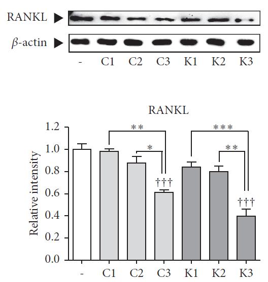 하수오2(하수오별 골다공증 개선 효능정도 비교).jpg