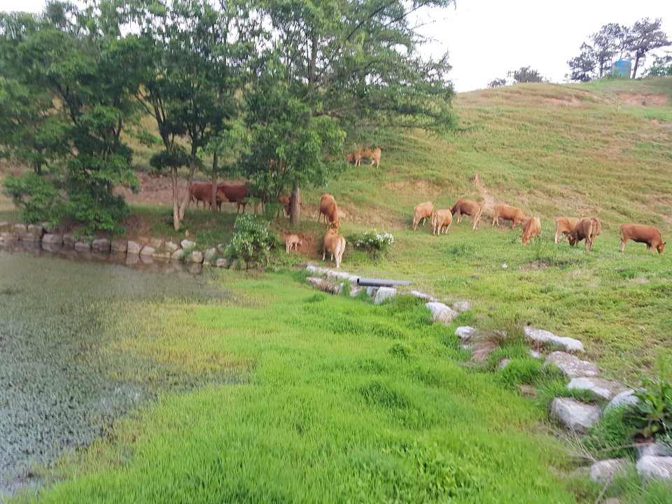 범당골 농장.jpg