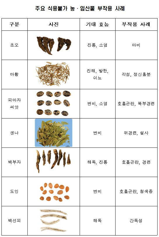 식용불가2.jpg