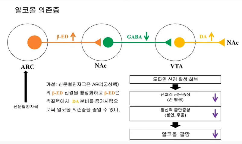 양재하3.jpg