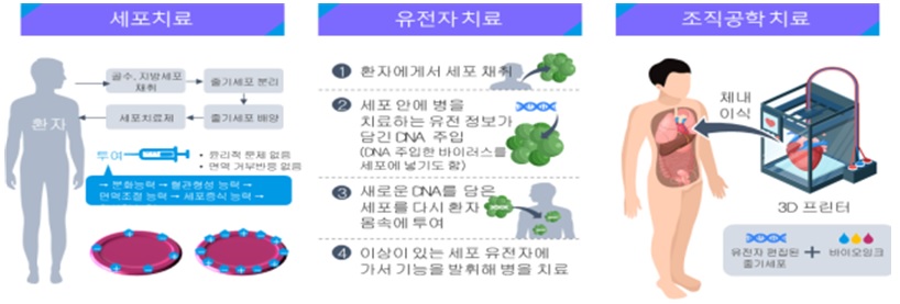 재생의료.jpg