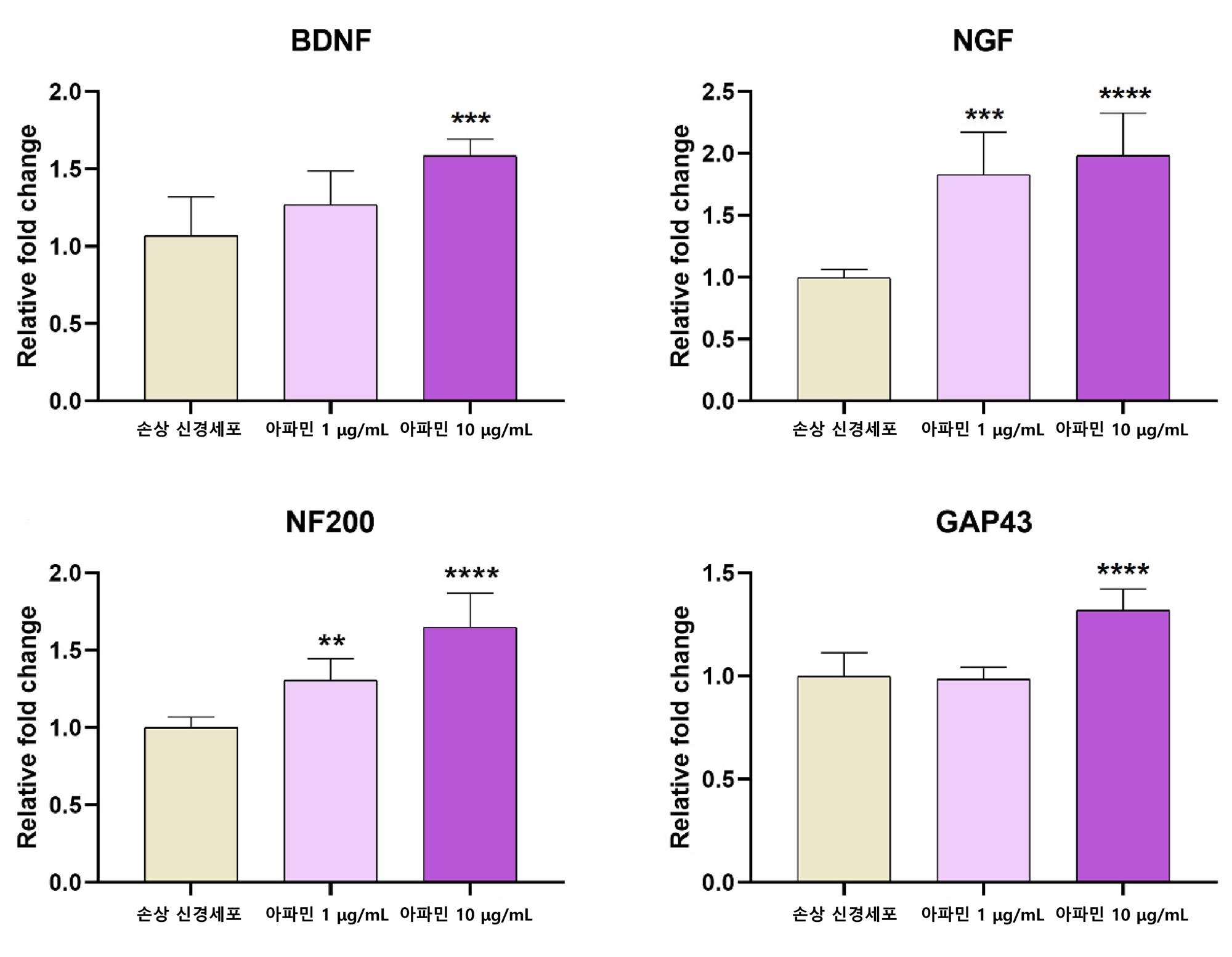 [사진설명] 아파민을 처리한 신경세포에서 DBNF, NGF, NF200, GAP-43의 발현이 유의하게 증가했다.jpg