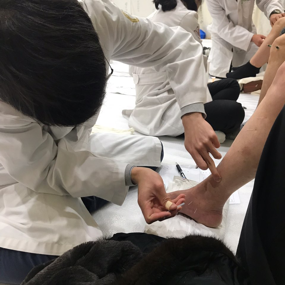 한방의료봉사2.jpg