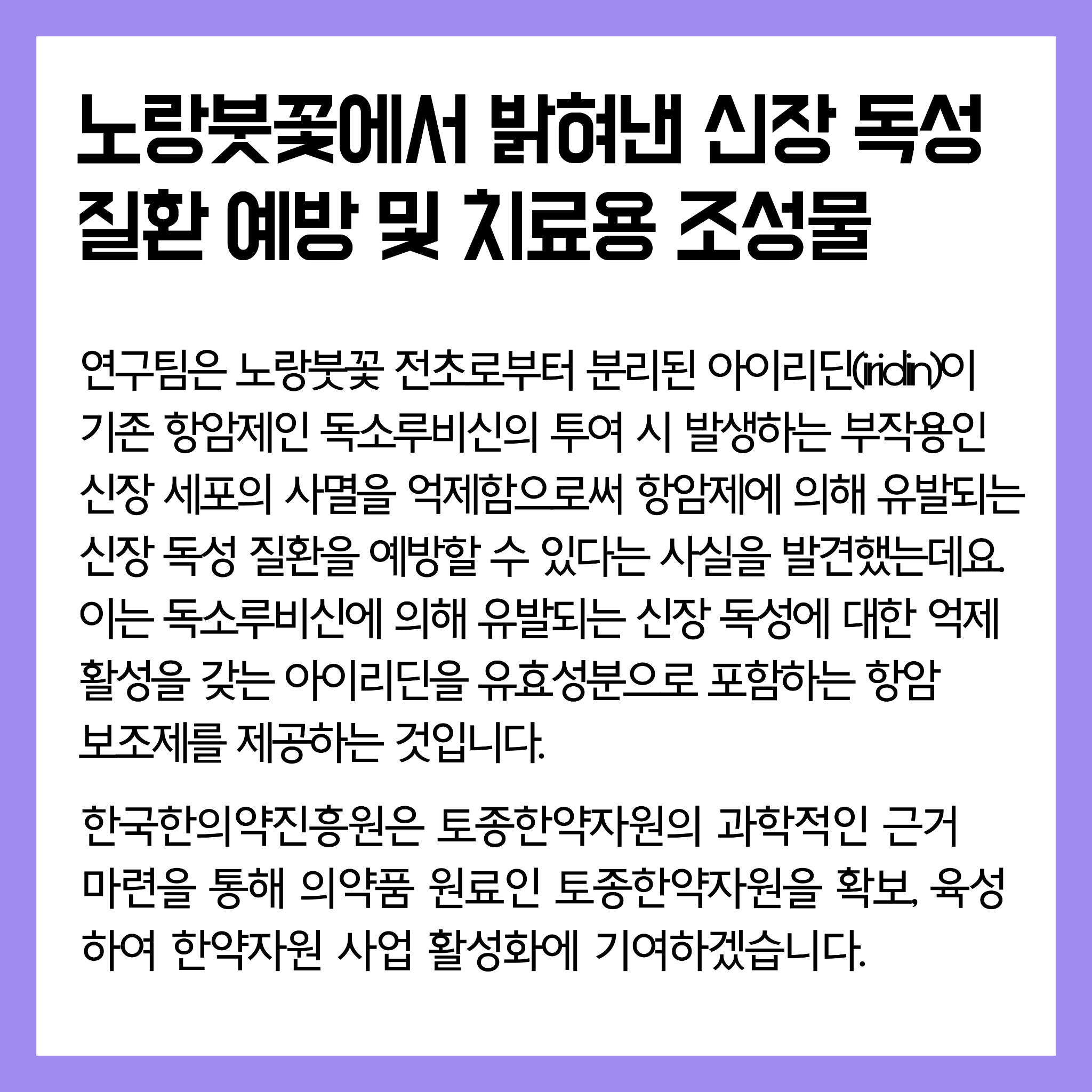 03 (노랑붓꽃2)연구로보는한의약-인스타장표.pdf_page_1.jpg