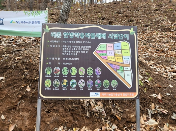 약용.jpg