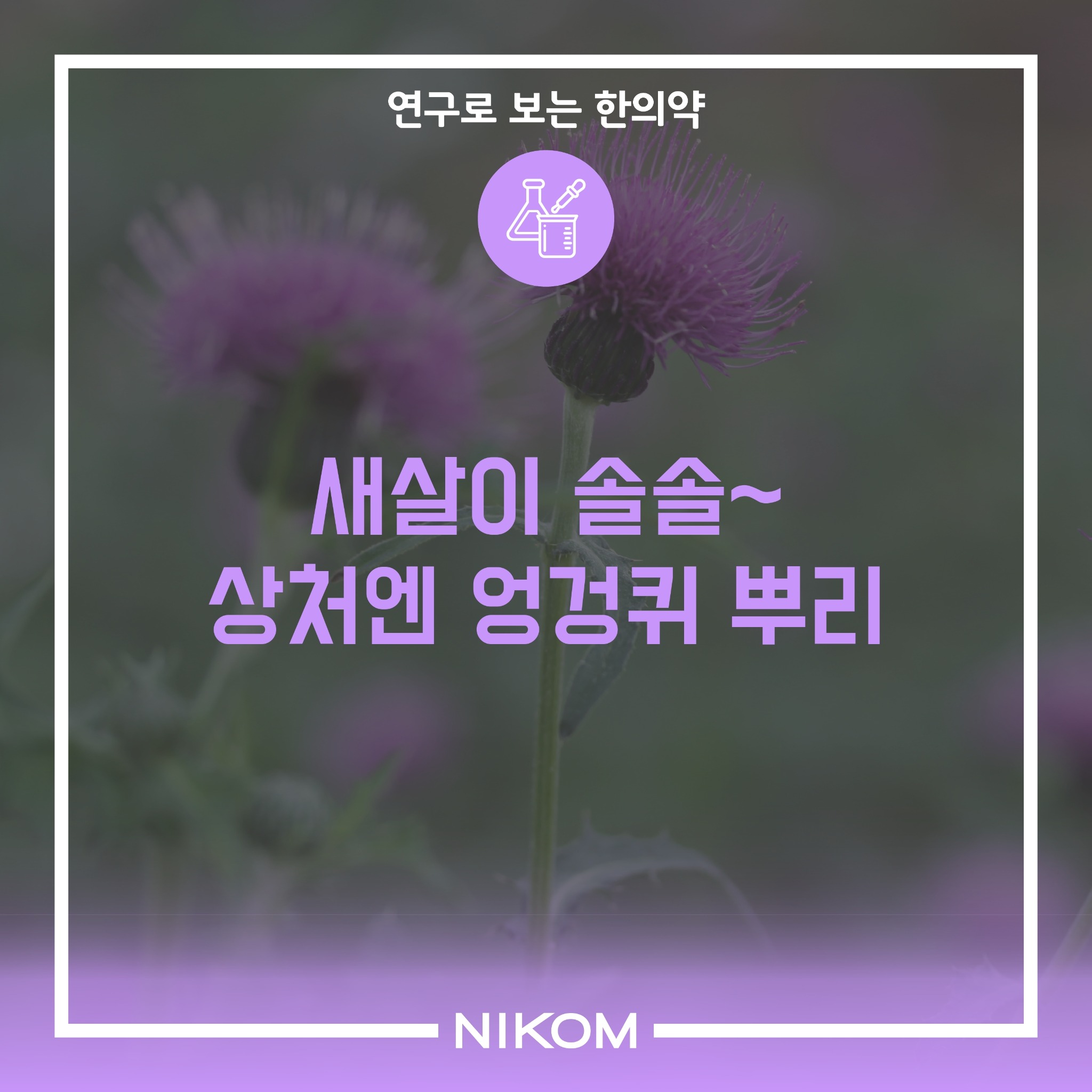 01 (대계)연구로보는한의약-썸네일.pdf_page_1.jpg