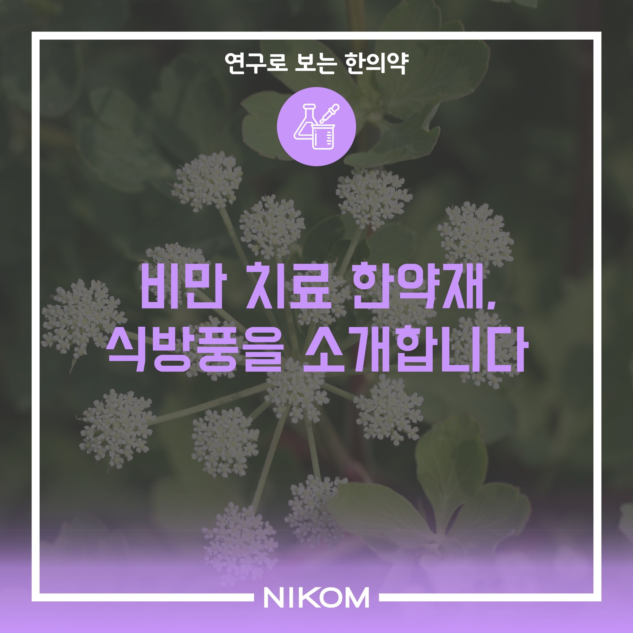 01 (식방풍)연구로보는한의약-썸네일.pdf_page_1.jpg