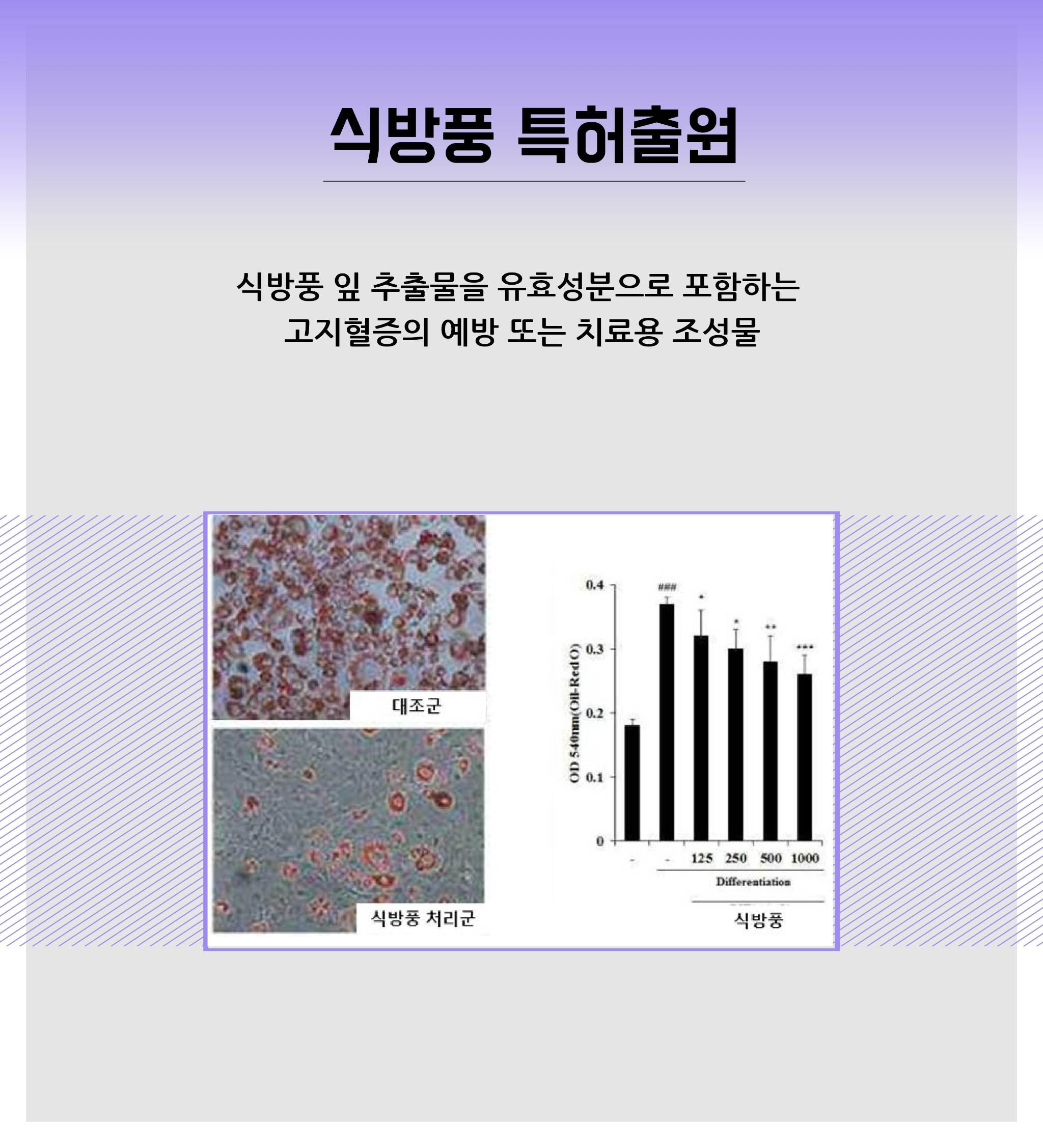 04 (식방풍)연구로보는한의약-블로그장표.pdf_page_1.jpg