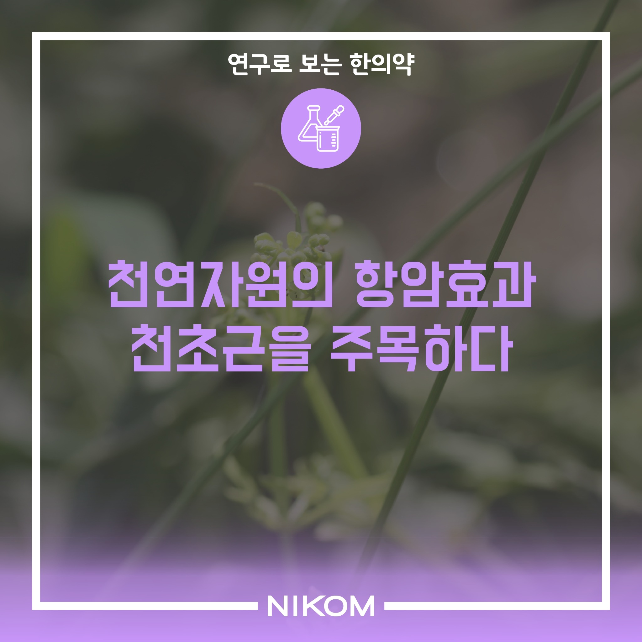 01 (천초근)연구로보는한의약-썸네일.pdf_page_1.jpg