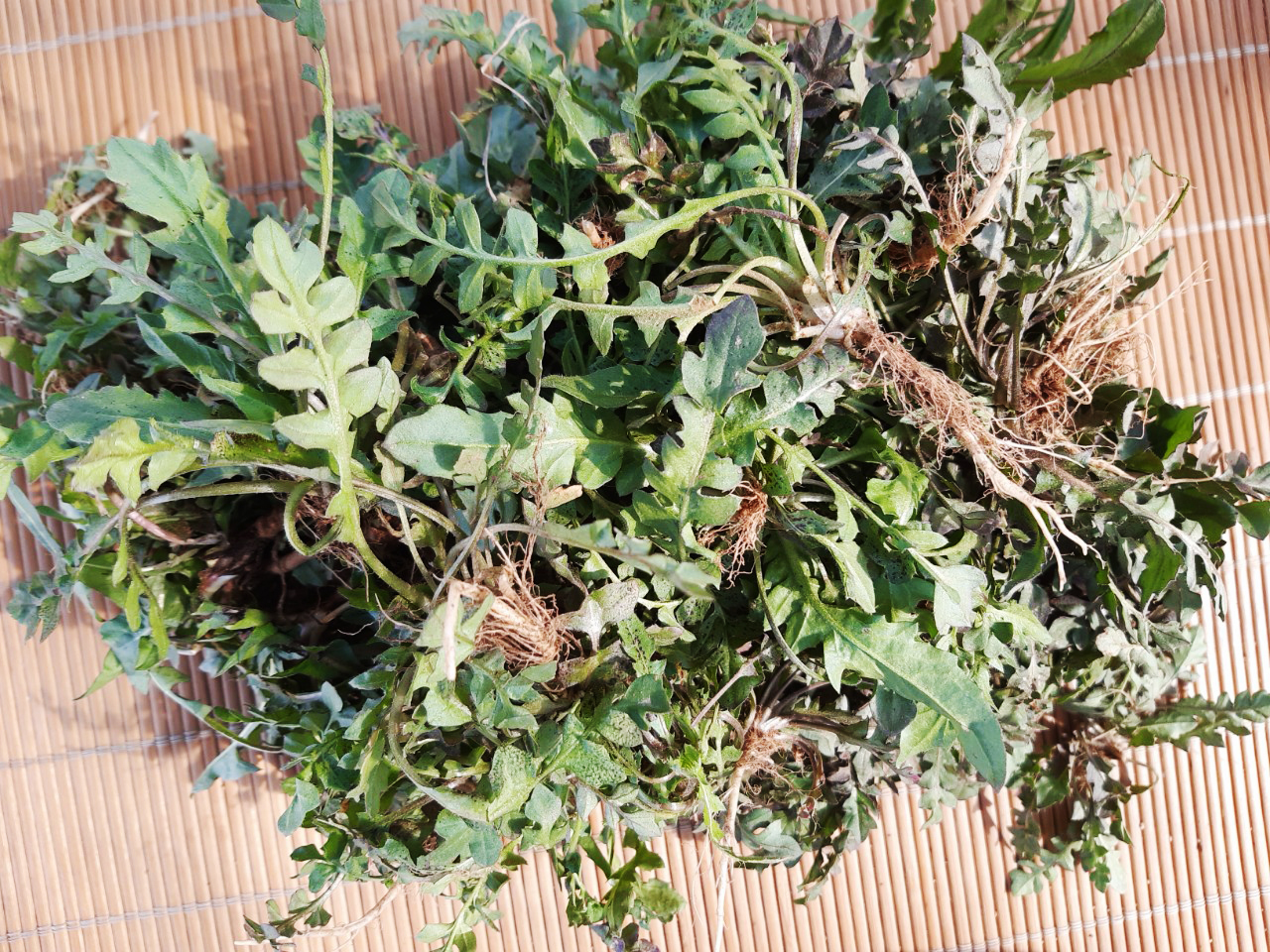 KakaoTalk_Photo_2022-03-03-10-04-46 004.jpeg