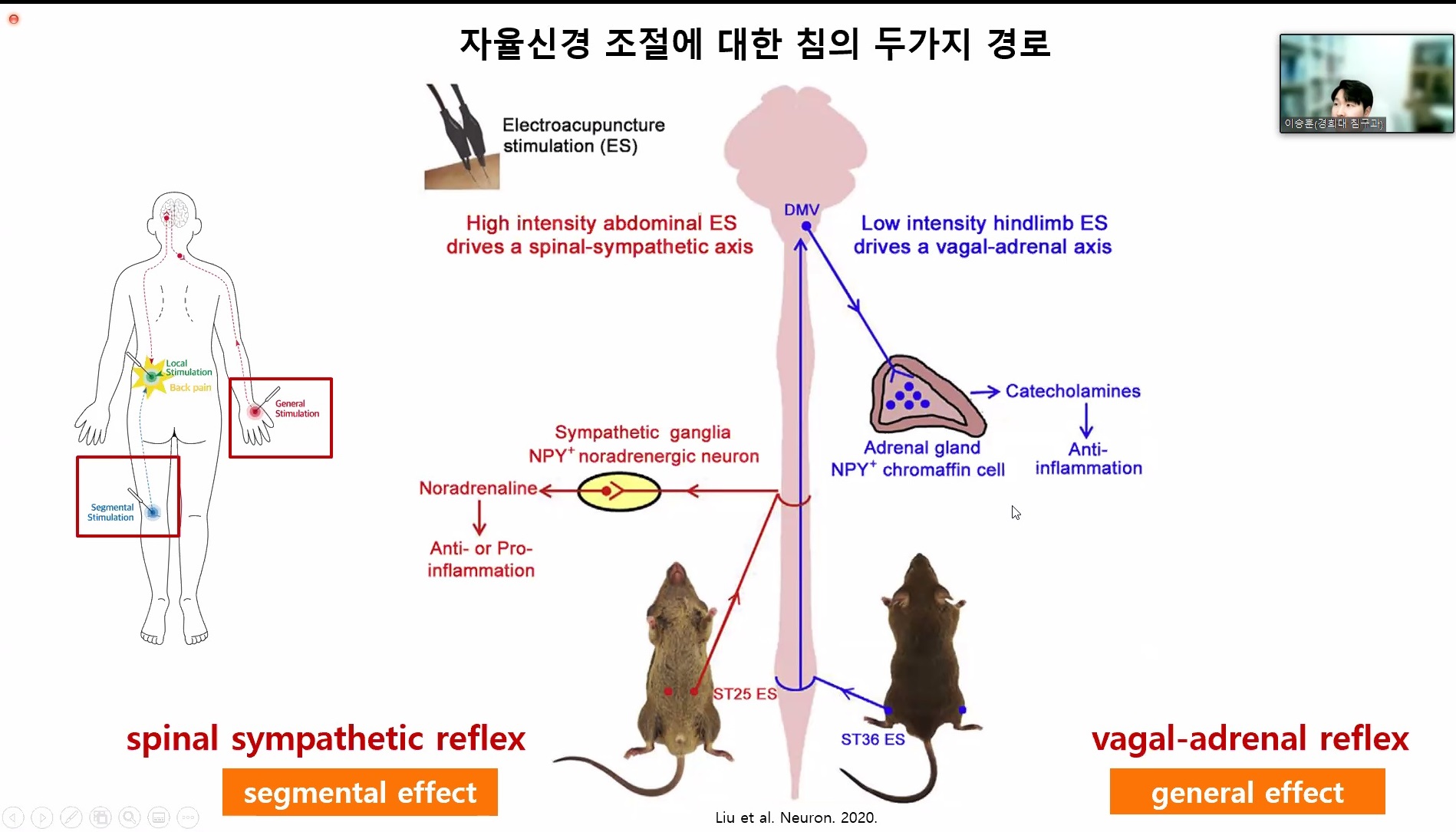 경락경혈.jpg