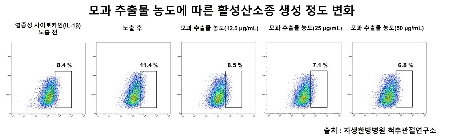[사진설명] 모과 추출물 농도에 따른 활성산소종 생성 정도 변화.jpg