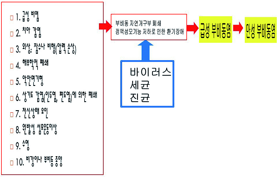 급성 폐쇄성 부비동염_07.JPG