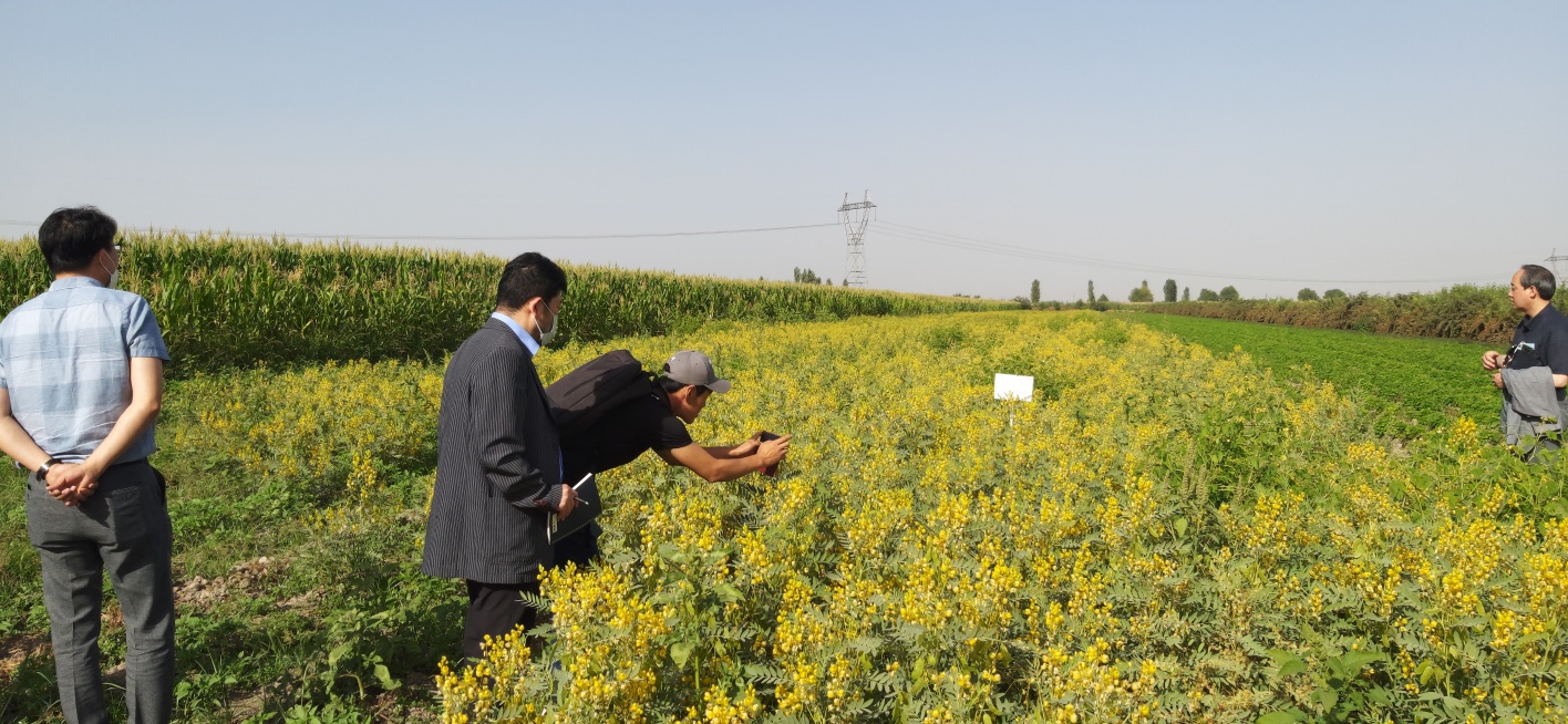 2 우즈베키스탄약용식물재배농장‘GerboFarm’방문.jpg