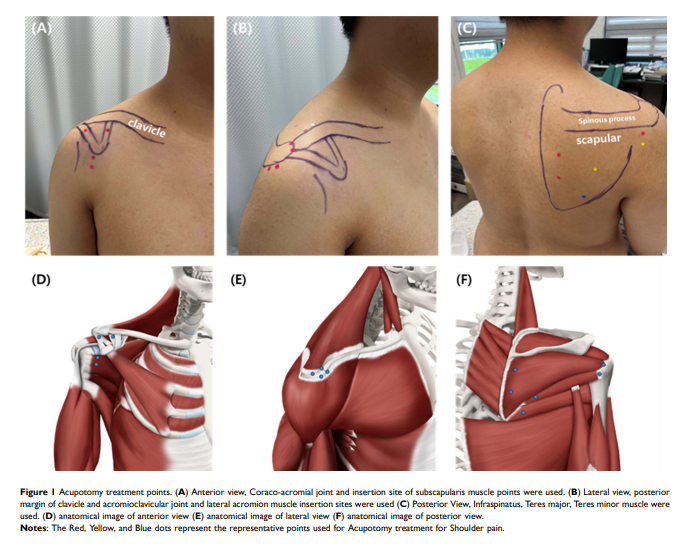 스크린샷 2023-04-25 093055.png