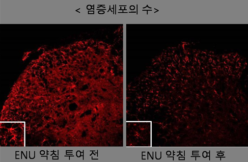 스크린샷 2023-05-17 100159.png