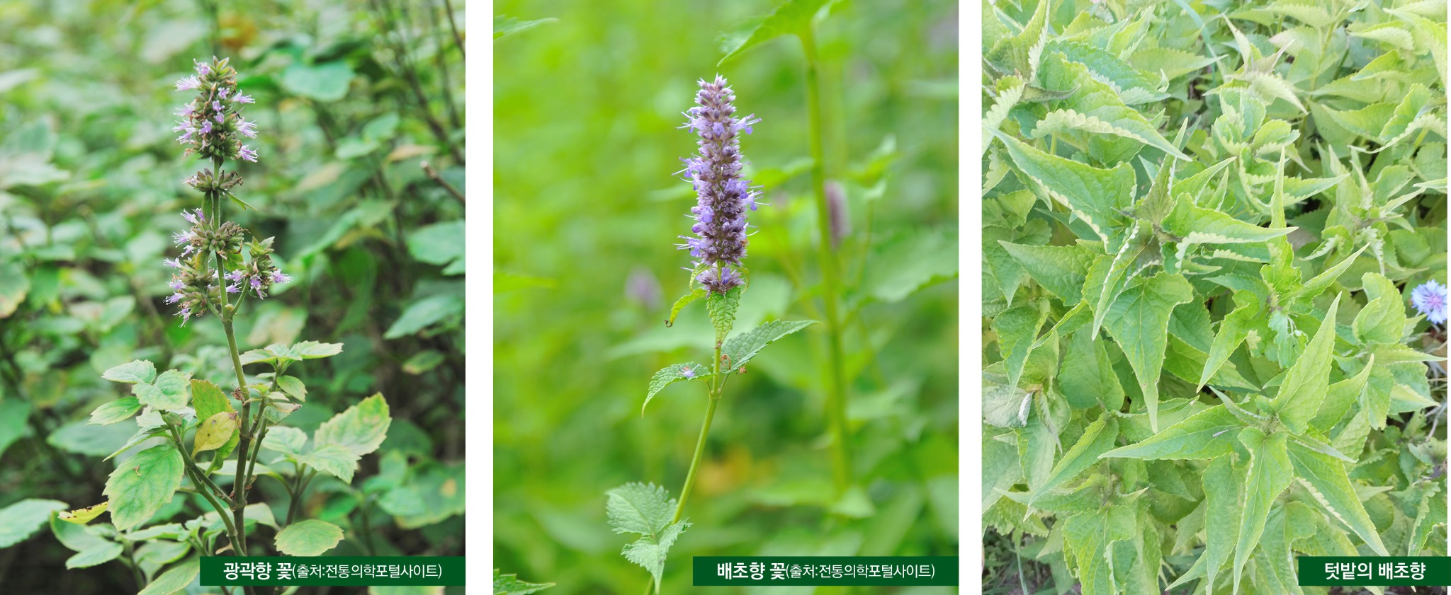 2408-35 권해진.jpg