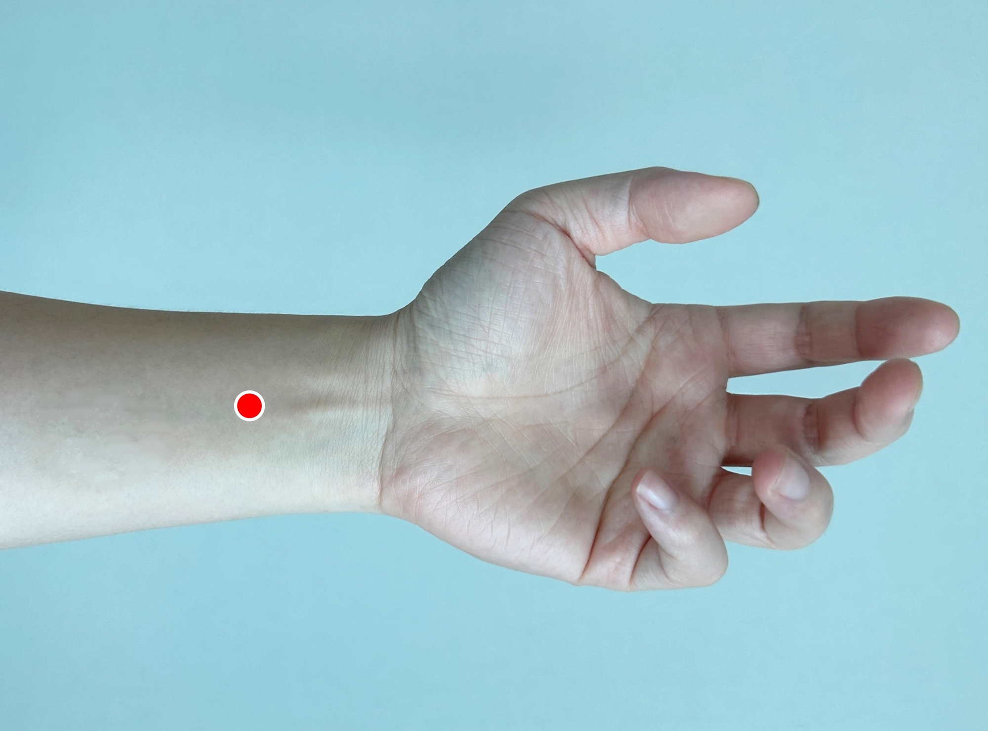 [사진설명] 내관혈.jpg