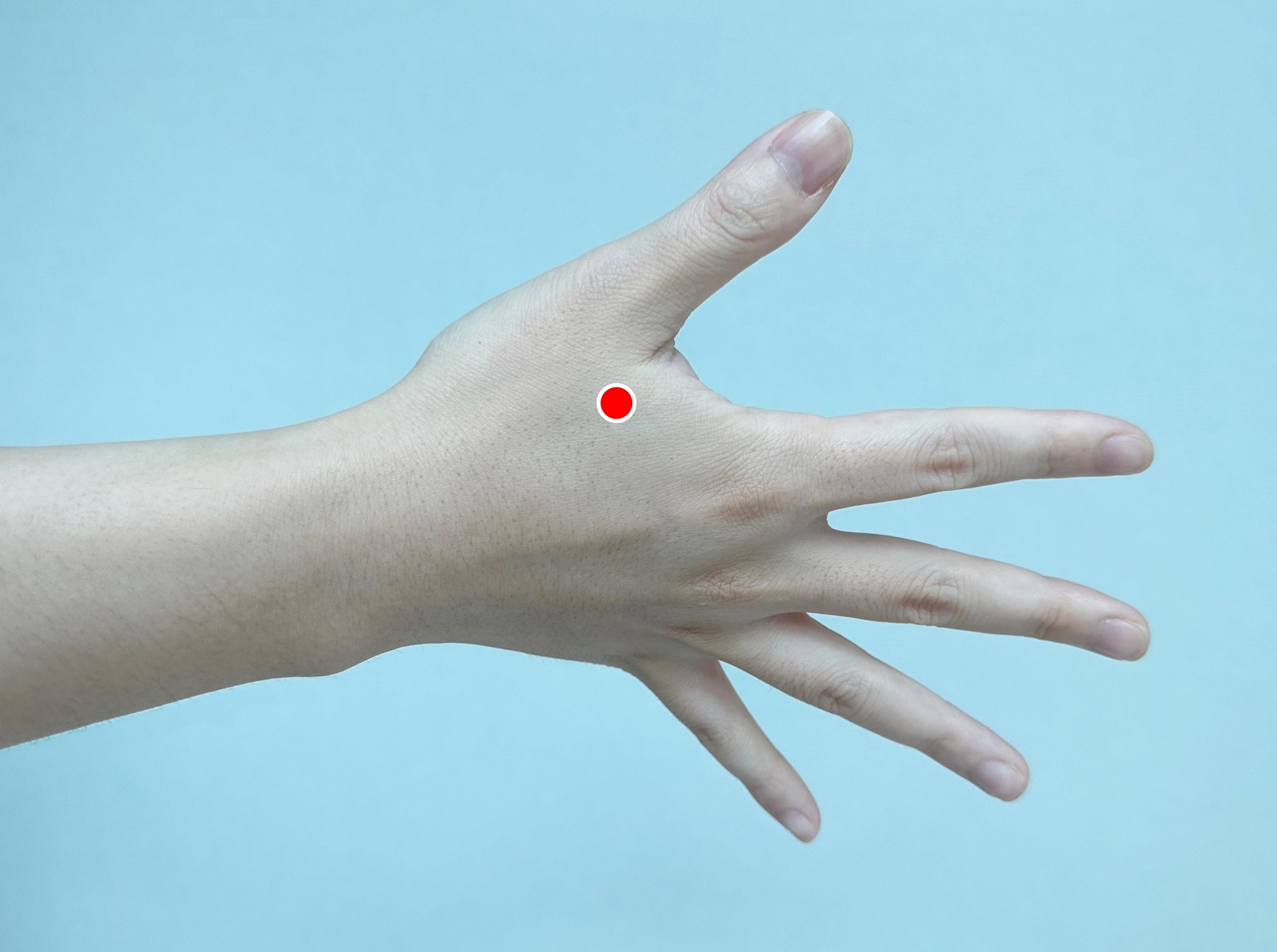 [사진설명] 합곡혈.jpg