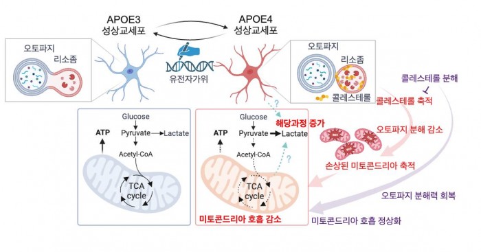 한의학연 (3).jpg