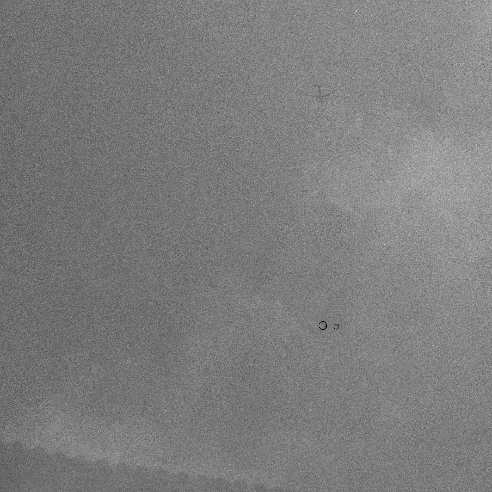 무제008(이번 전시회에서 많은 분들이 좋아해주신)