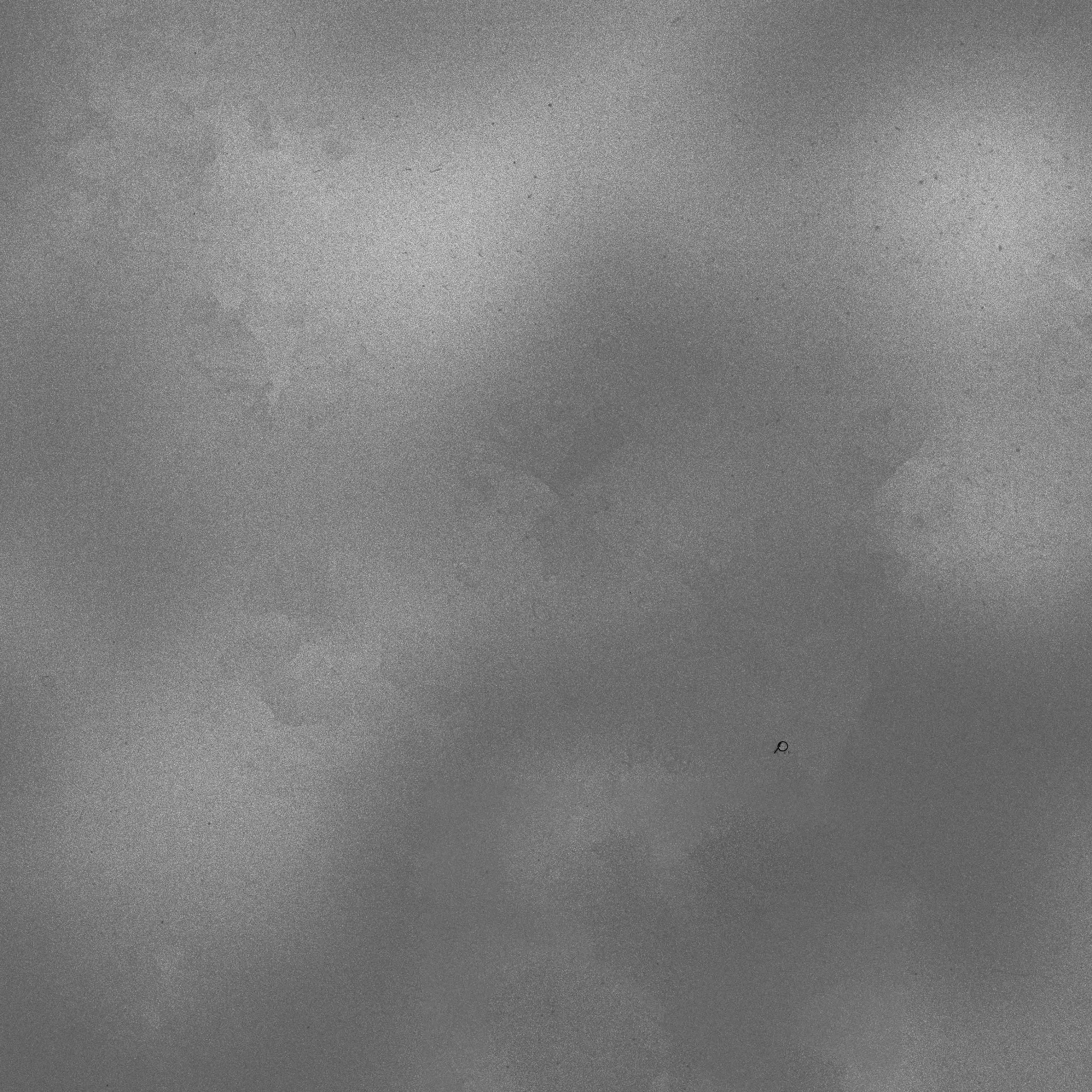 깔다구(내 자신을 표현한 깔다구).jpg