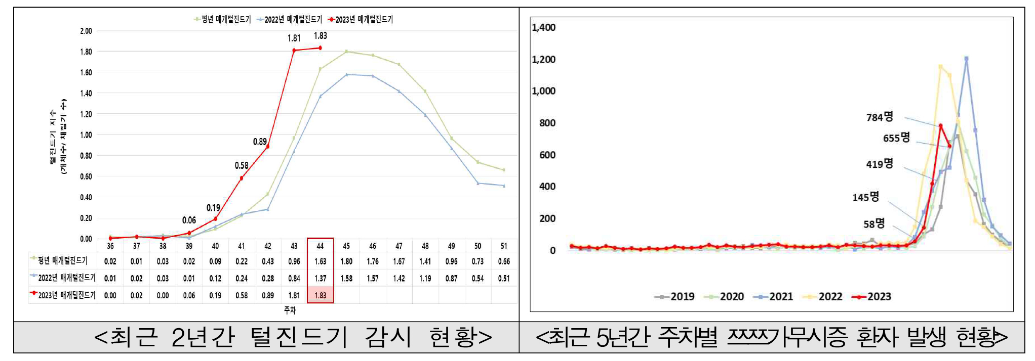 진드기1.jpg