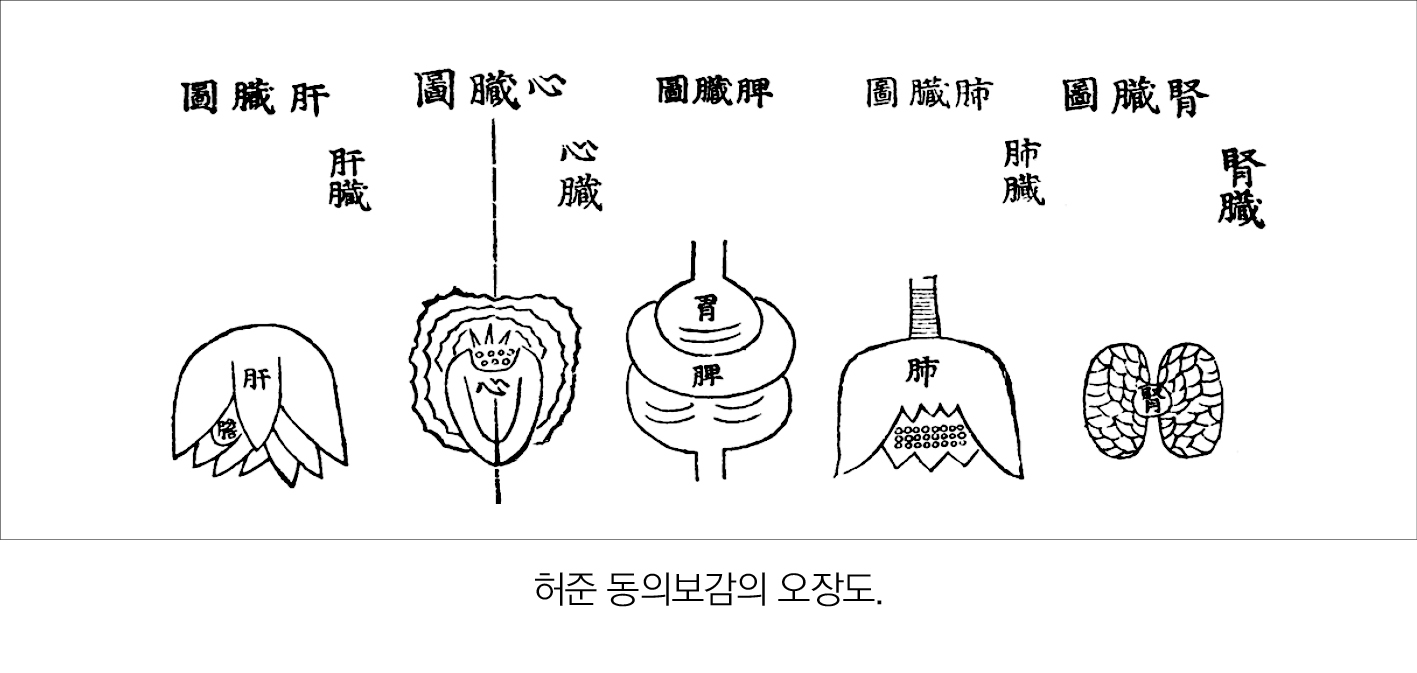 2436-28 김남일.jpg