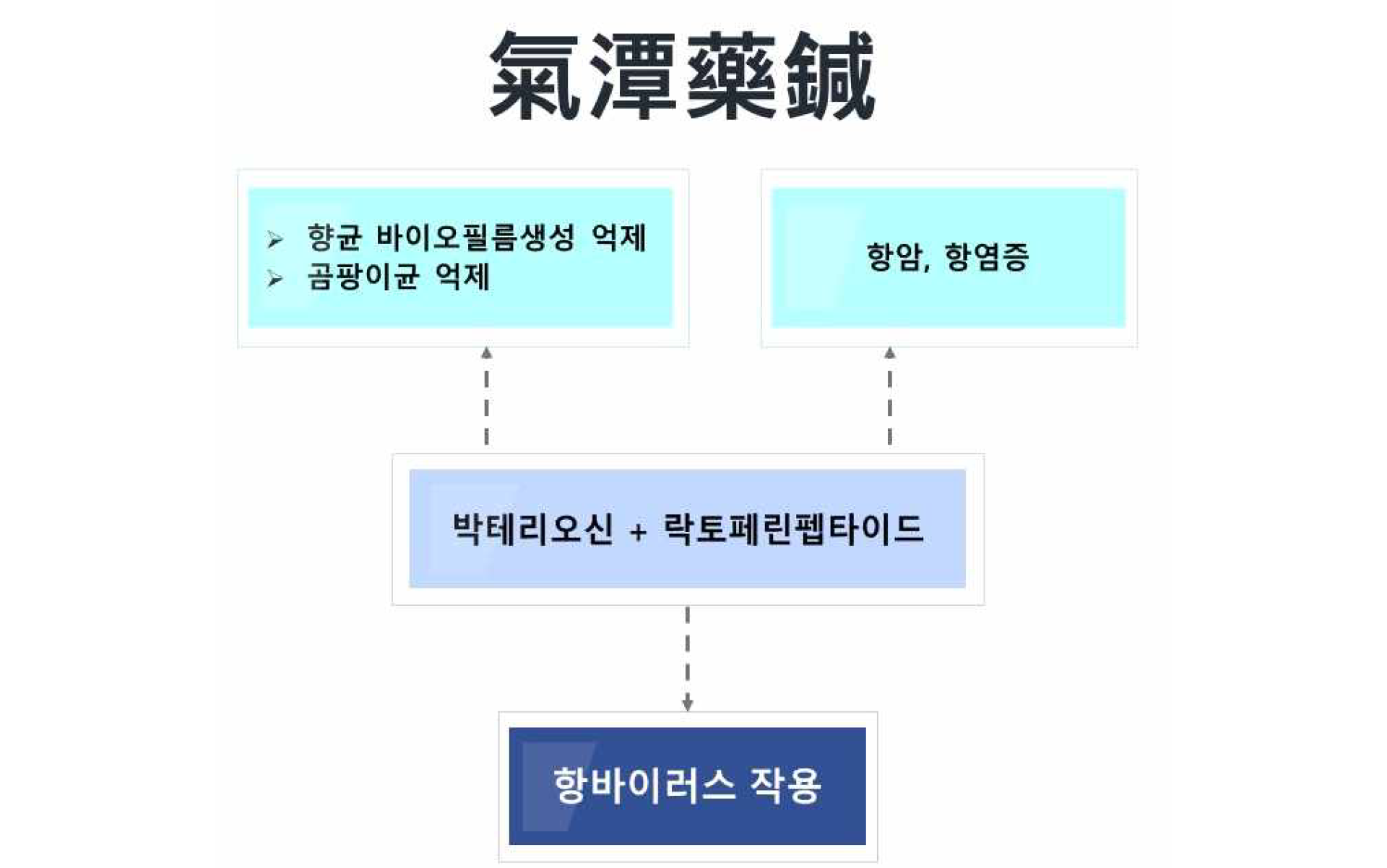 동서비교한의학회2.png