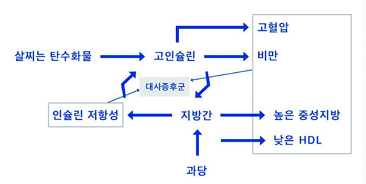 제강우_그림.jpg