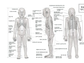 18세기 조선의 침구 경혈은 어떤 모습일까?