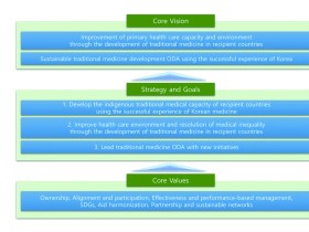 “한의약 ODA, 지속가능한 발전을 위해 필요한 것은?”