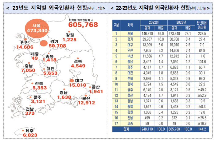 외국인 환자 현황(지역별).png