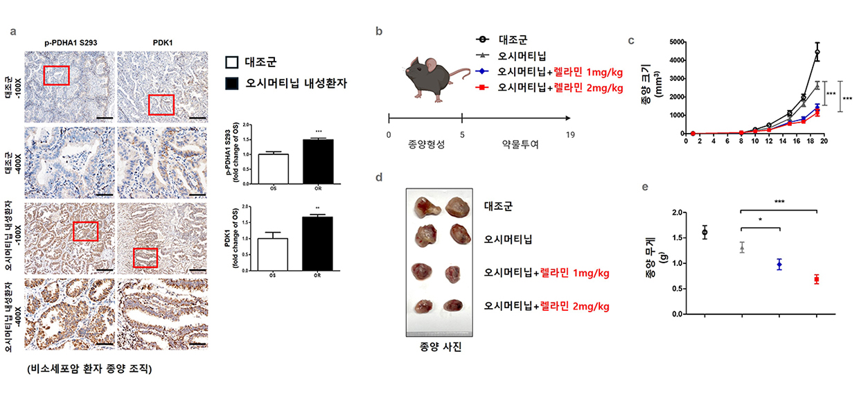 항암제2.jpg