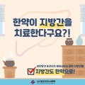 한약이 지방간을 치료한다구요?!