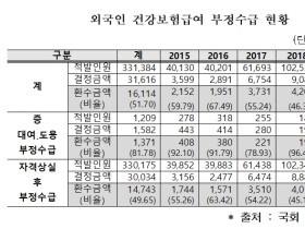 외국인 건강보험 부정수급액 316억원 달해