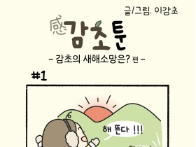 감초의 새해소망은? 편