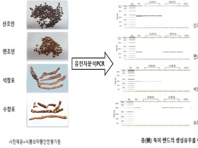 육안으로 구분 어려운 산조인‧석창포, 위·변조 어림없다!