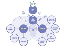 “한약으로 면역력 키운다…그 원리는?”