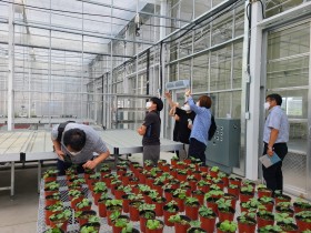 국립산림과학원, ‘산림약용자원 스마트 연구온실’ 소개