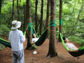 코로나19 대응인력 위한 숲치유 프로그램 ‘시범운영’