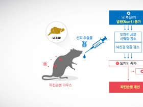 매미허물(선퇴), 항파킨슨병 효능 입증