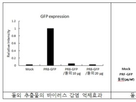 제주특산 ‘돌외’서 강력 항바이러스 효능 소재 발견