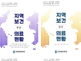 심평원, 광주·부산·세종·제주 보건의료현황 분석보고서 발간