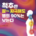 [리뷰]‘척추만 잘 자극해도 병의 90%는 낫는다’